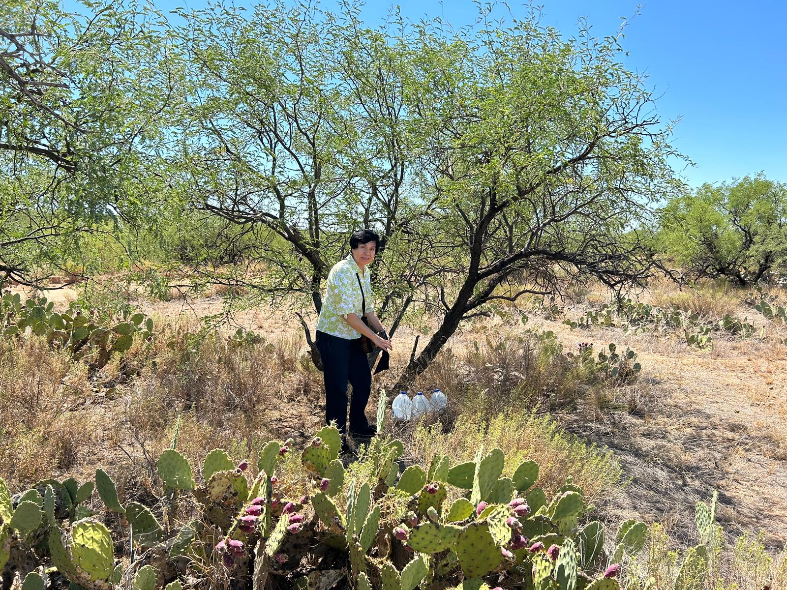 Sr. Oliva Olivares from the Missionary Guadalupanas of the Holy Spirit leaves water beneath a mesquite tree in the Sásabe community in the Arizona desert for migrants crossing the border in that area to drink. (Peter Tran) 