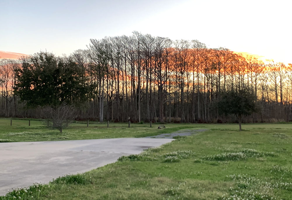 Lake Arthur, Louisiana, before it was devastated by Hurricane Laura (Celeste Larroque)