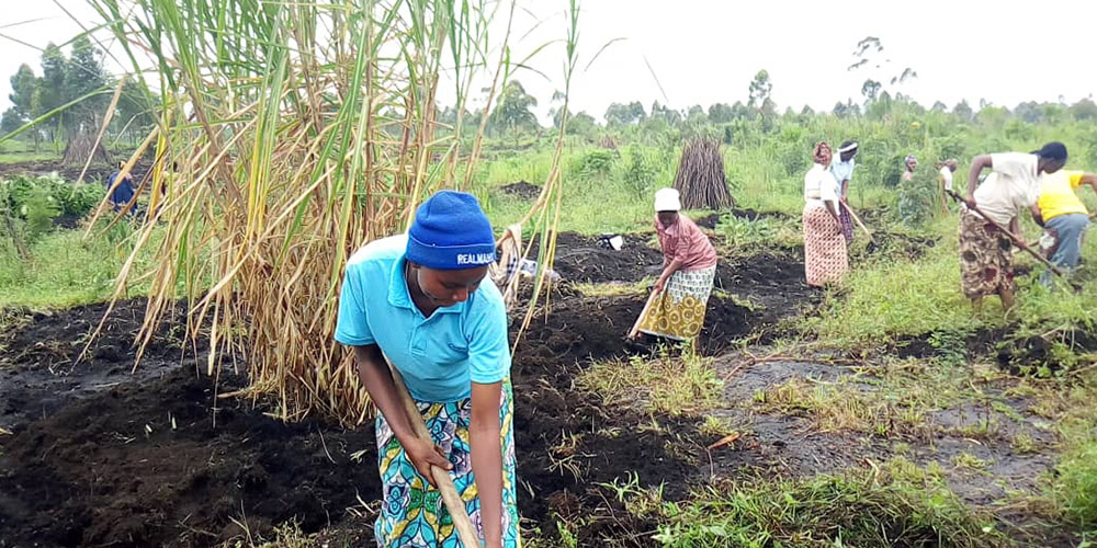 Novices, professed sisters and students work in the volcanic soil in the fields of Goma, Congo. (Courtesy of Pétronille Chibelushi Tisa)
