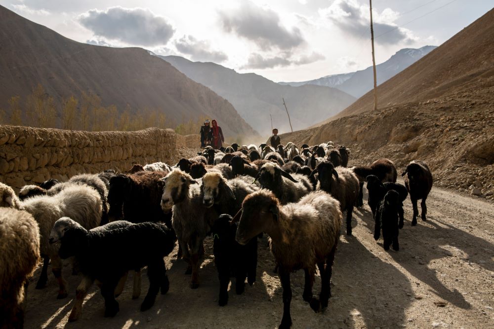 The Bamyan Dar-e-Chast district in Afghanistan, is home to 160 people, a majority of whom depend on farming to survive. Catholic Relief Services says that the threat of hunger continues in Afghanistan, where it has worked responding to humanitarian needs.
