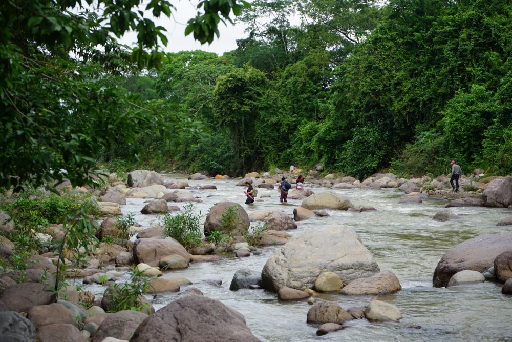El río Guapinol fluye a través del Parque Nacional Carlos Escaleras. Hace aproximadamente una década, Inversiones Los Pinares recibió la aprobación para construir una mina de óxido de hierro en el parque. (Foto: Fundación Share/Mark Coplan)
