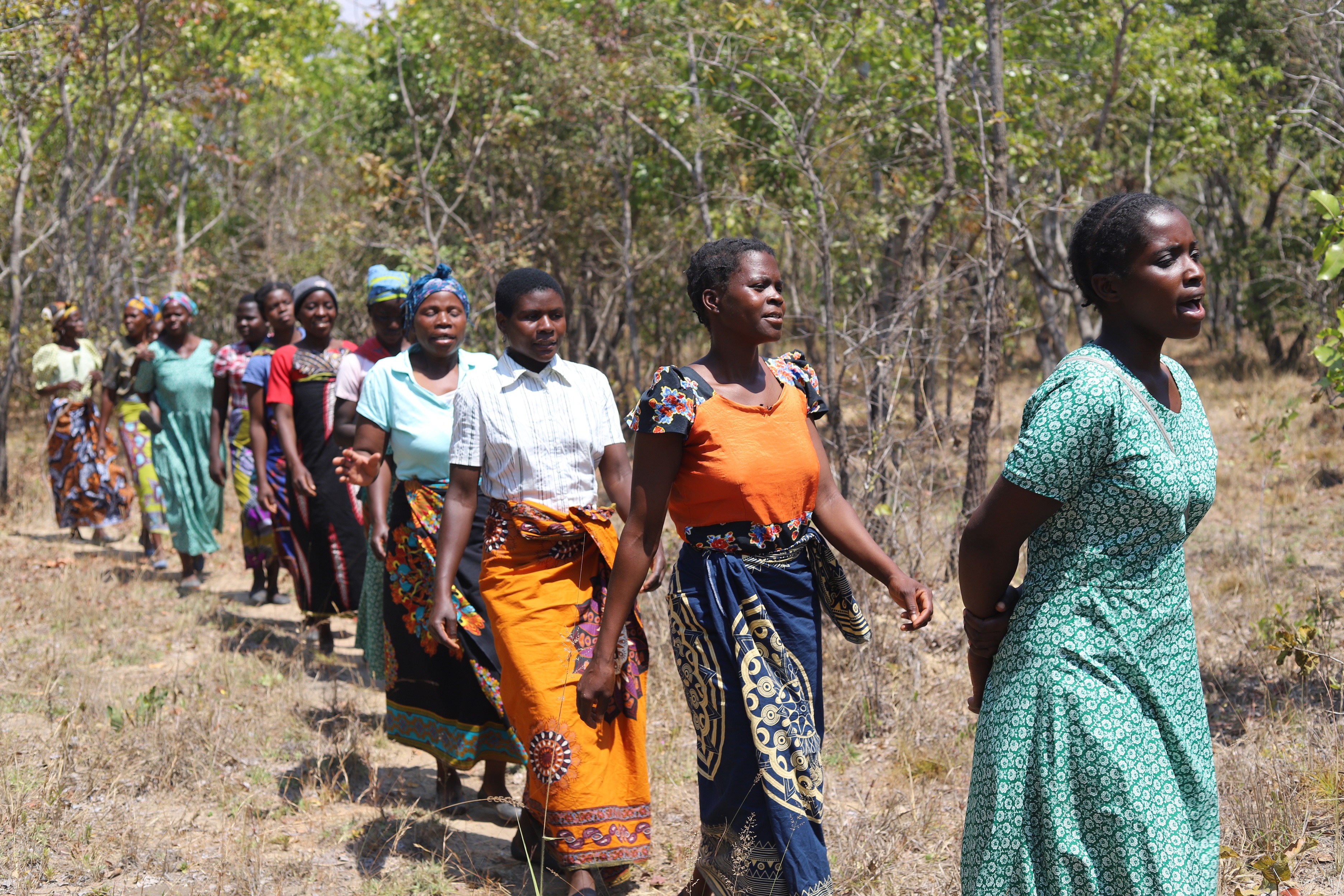 Women of the Eco Women Group have embarked on a tree-planting campaign to promote reforestation programs to reduce the effect of climate change in Kalumba Forest, 37 miles north of Malawi's capital, Lilongwe. (Doreen Ajiambo)