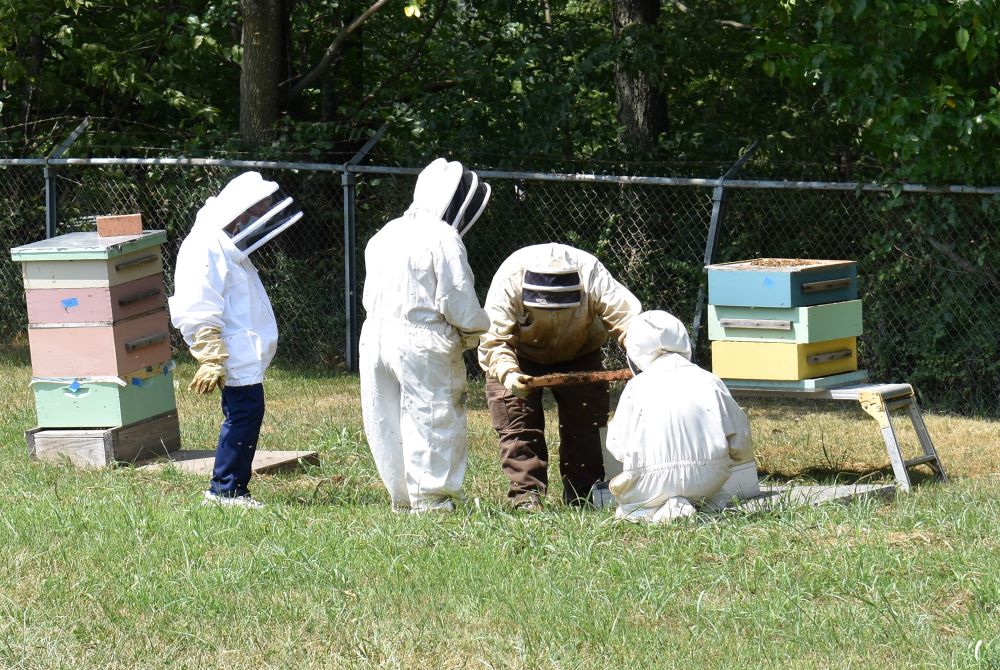 Sr. Elaine Fischer, center, explains the Mount St. Scholastica beehive project to a television crew. (Julie A. Ferraro)