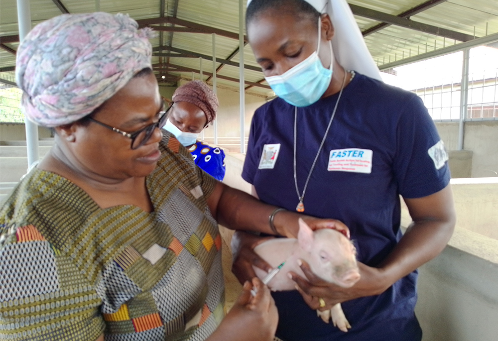Sr. Christabel Juunza Mwangani, right, a Religious Sister of the Holy Spirit, based in the Diocese of Monze, in Zambia, tends to a pig with superior general Sr. Rosalia Sakayombo, left. Mwangani was one of three Catholic sisters recognized with a Builders of Africa's Future award in 2022. (Courtesy of Christabel Juunza Mwangani)