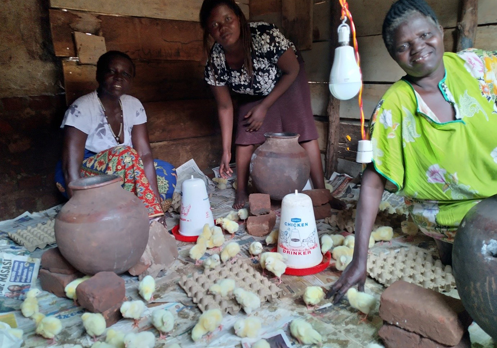 A women's group, after being empowered by the Little Sisters of St. Francis, start a joint poultry project. Sr. Rose Thumitho completed social entrepreneurship and business training through the Sisters Blended Value Project and the African Diaspora Network and has worked to convey those skills to women and young adults in the local community to boost their agricultural enterprises. (Courtesy of Sr. Rose Thumitho)