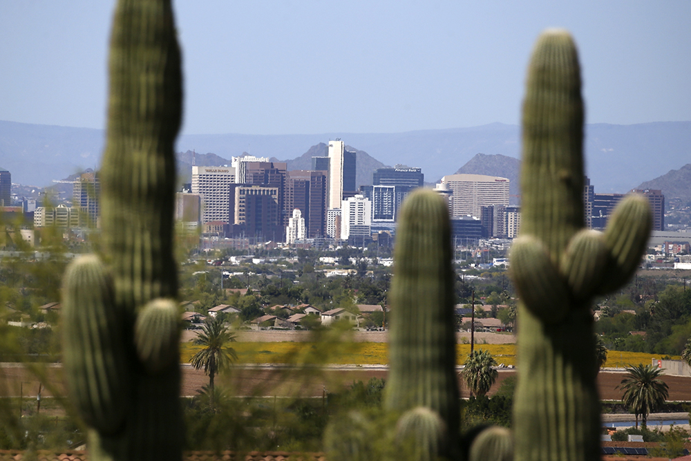 The skyline of Phoenix, Arizona, framed between seguaro cacti