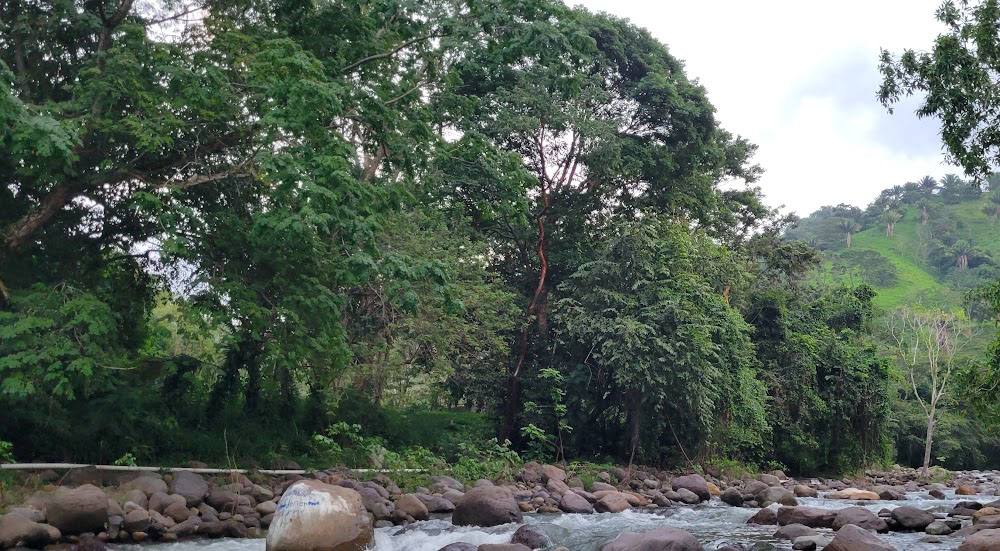 PVC pipe from a mine is seen along a stream. (Gabriela Cartagena)