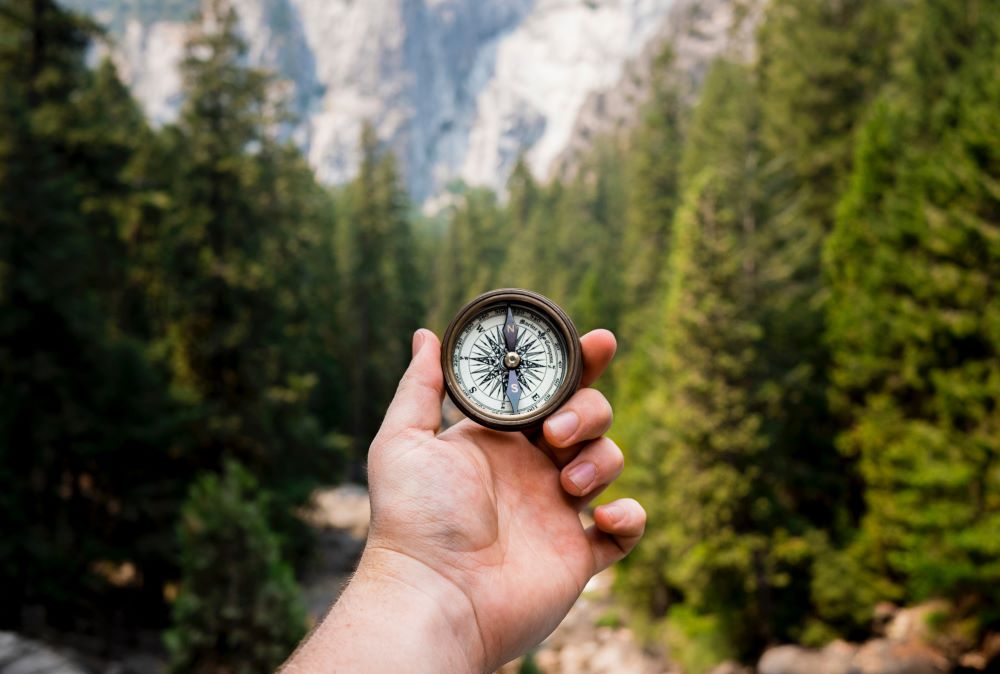 A hand holds compass against background of trees.