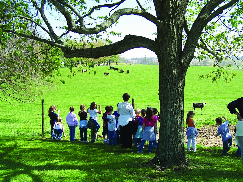 Students from Christ the King School in Madisonville, Kentucky, visit the cattle at Mount St. Joseph in Daviess County. Only the land that is too hilly to till sustainably is used for pasturage. (Courtesy of Ursuline Sisters of Mount St. Joseph)