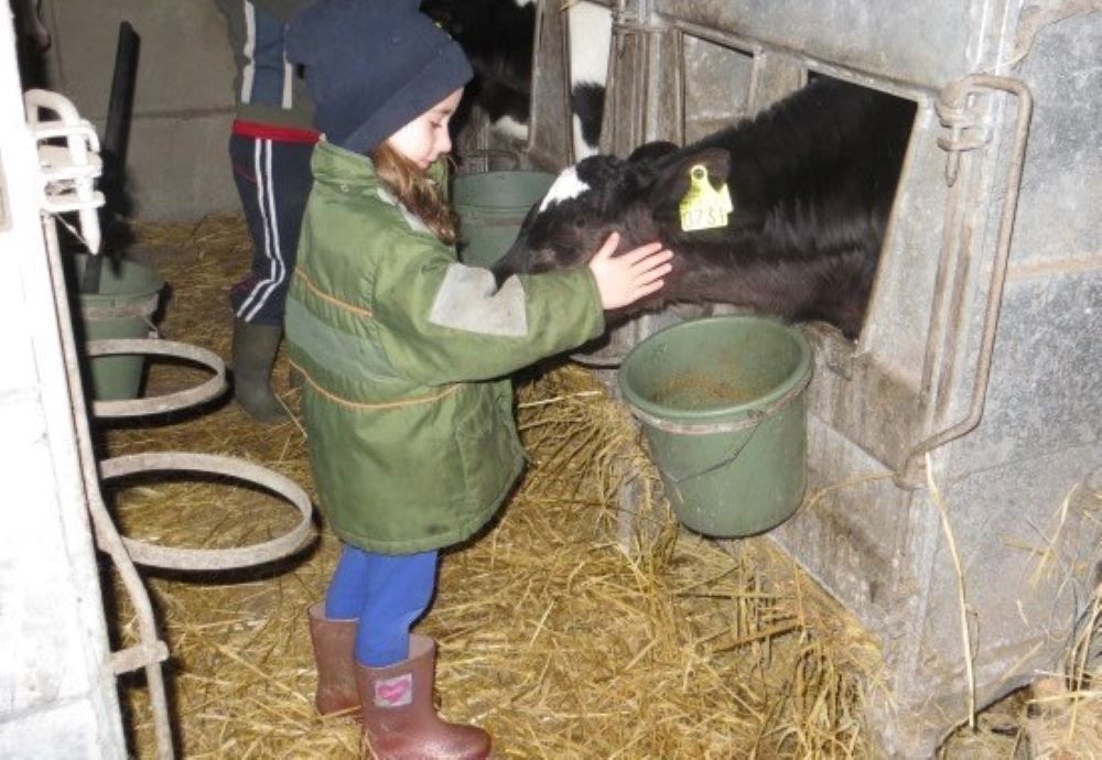 Sr. Siobhan O'Keeffe niece, Caoimhe feeds a baby calf on her parents' farm in Ireland in 2011. (Courtesy of Siobhan O’Keeffe)
