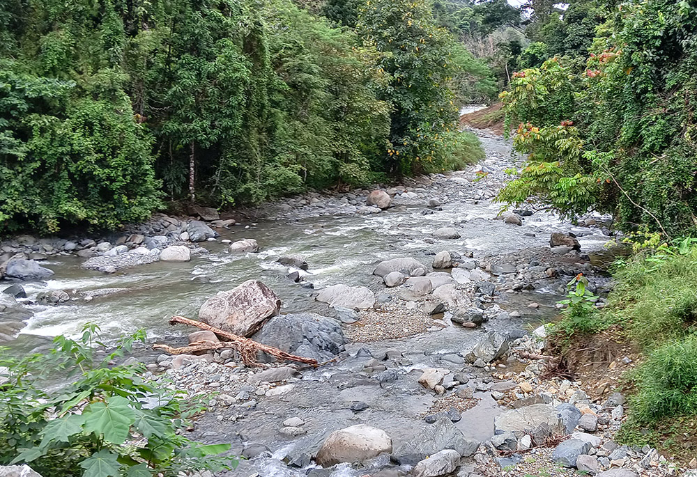 The author splashed in the river stream pictured in this photo, located along the road of a mountain village in Nanga Nangan, Philippines. (Courtesy of Marjorie Guingona)
