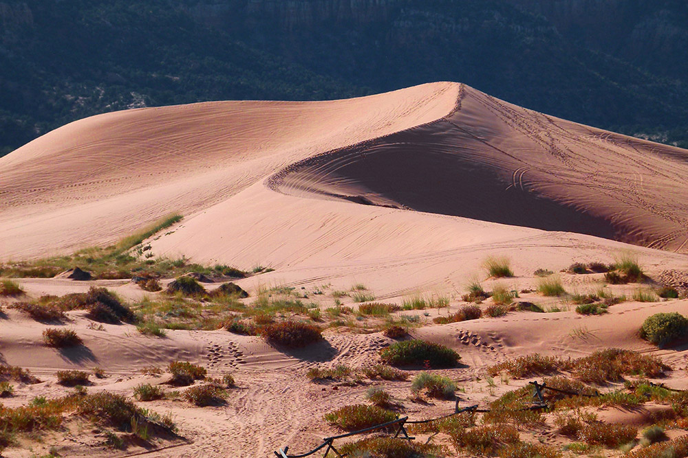 Desert landscape (Pixabay/Brigitte Werner)