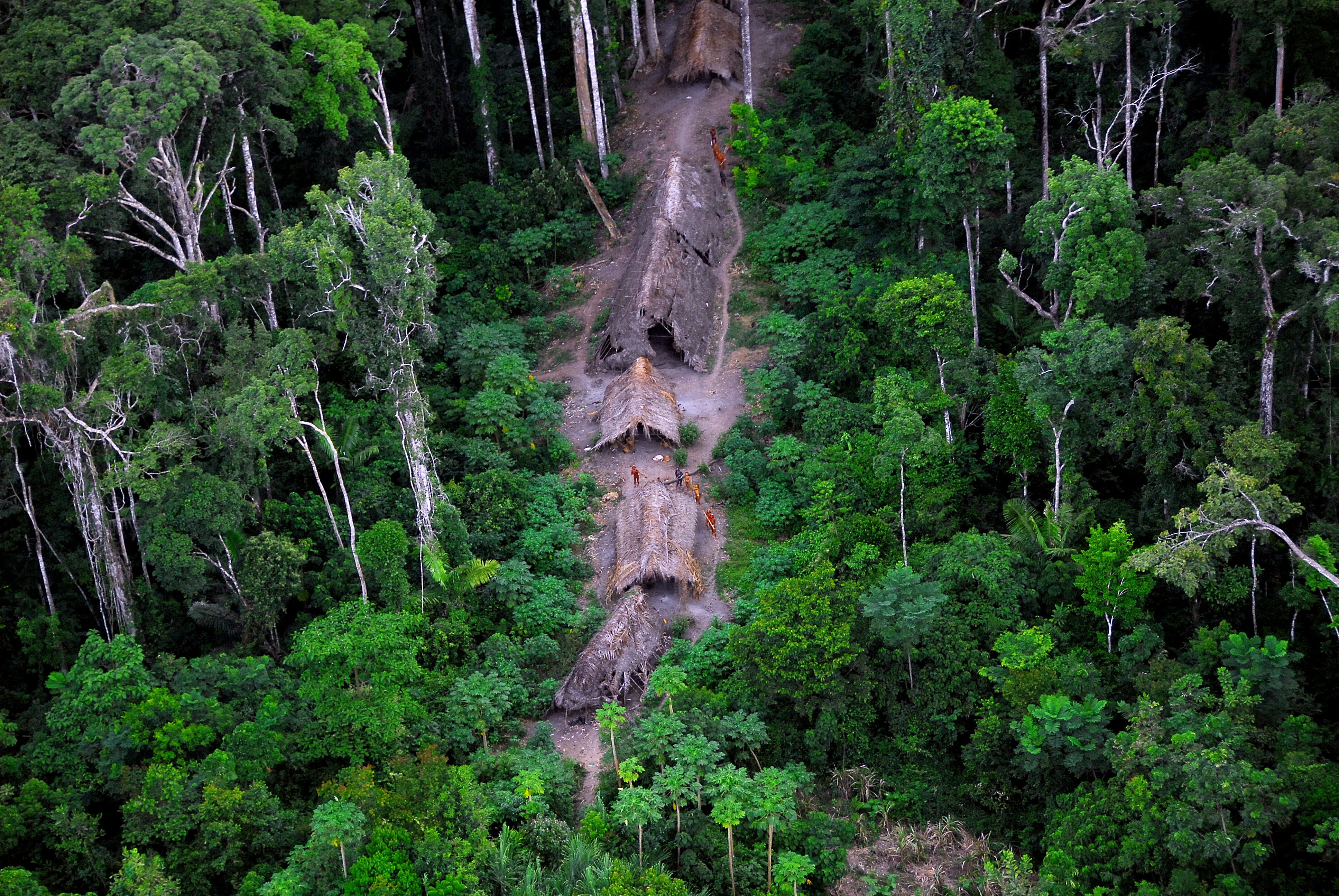 Aerial view, in the middle of the jungle, of the dwellings of an isolated indigenous group.