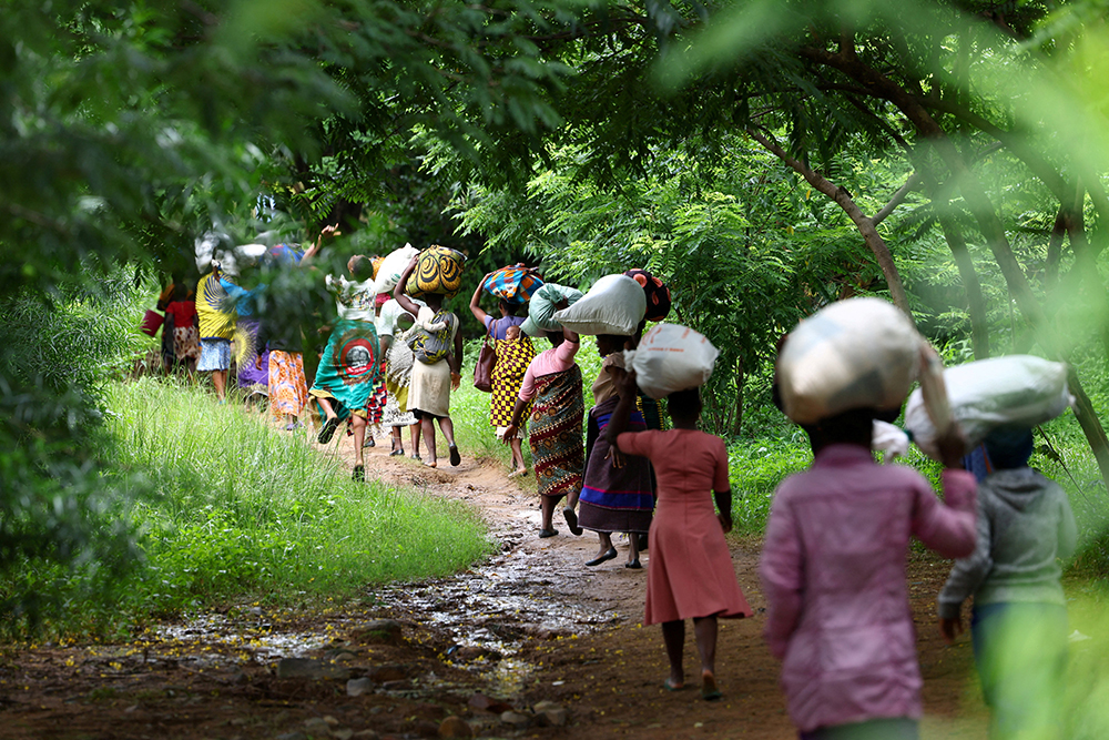 A line of people carrying sacks on their head walk through lush greenery