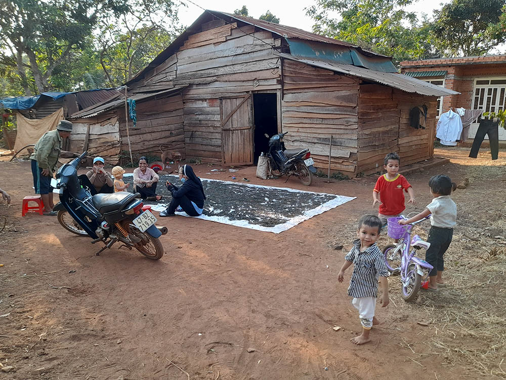 Sister Therese (who preferred to omit her last name) visits a Se Dang family that dries black peppercorns in front of their house in Dak Lak province, Vietnam. Locals live in small houses and have to stay under trees to avoid the hot sun in the dry season. (Joachim Pham)