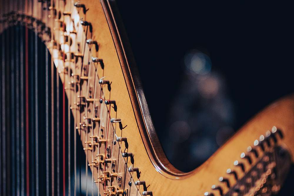 Harp (Unsplash/Victor Serban)