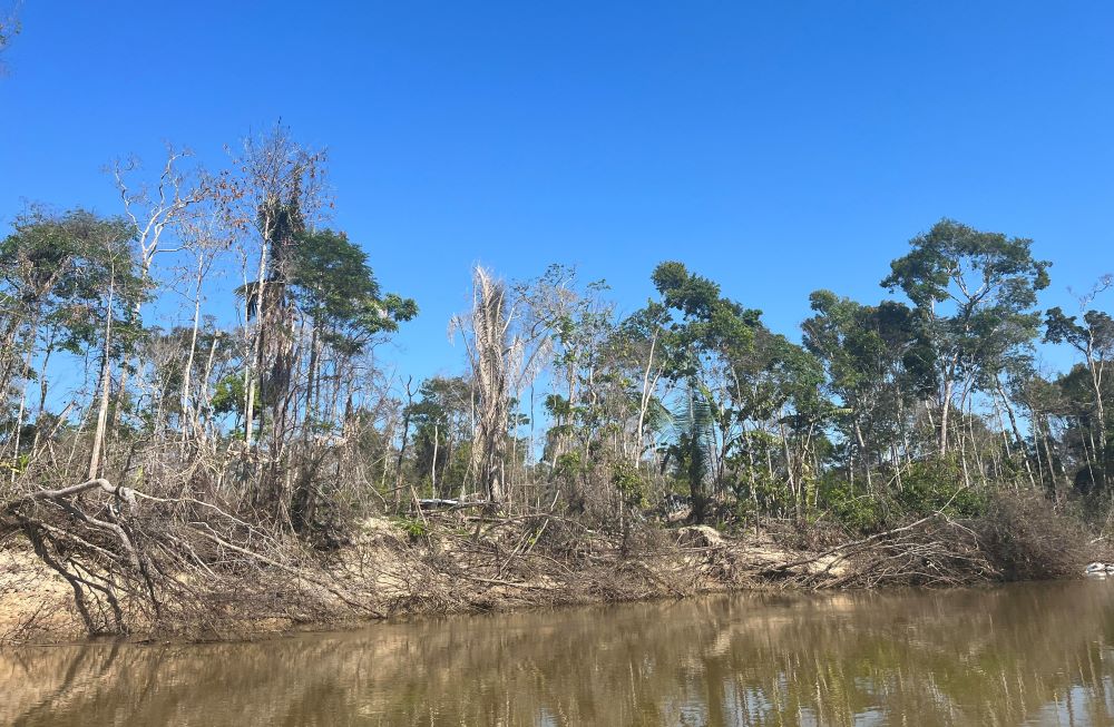 This image outside Karipuna territory shows where deforestation has taken place in this part of the Amazon. (Ellie Hidalgo)
