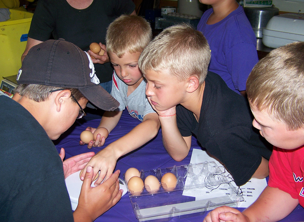Children learn the process of collecting eggs and getting them ready for market at Earthrise Farm in Madison, Minnesota. (Courtesy of Kathleen Fernholz)