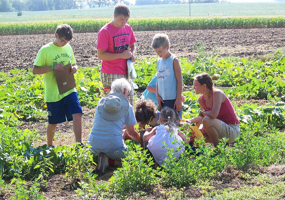 Sr. Kathleen "Kay" Fernholz , a School Sister of Notre Dame, works in the garden with children at Earthrise Farm in Madison, Minnesota. (Courtesy of Kathleen Fernholz)