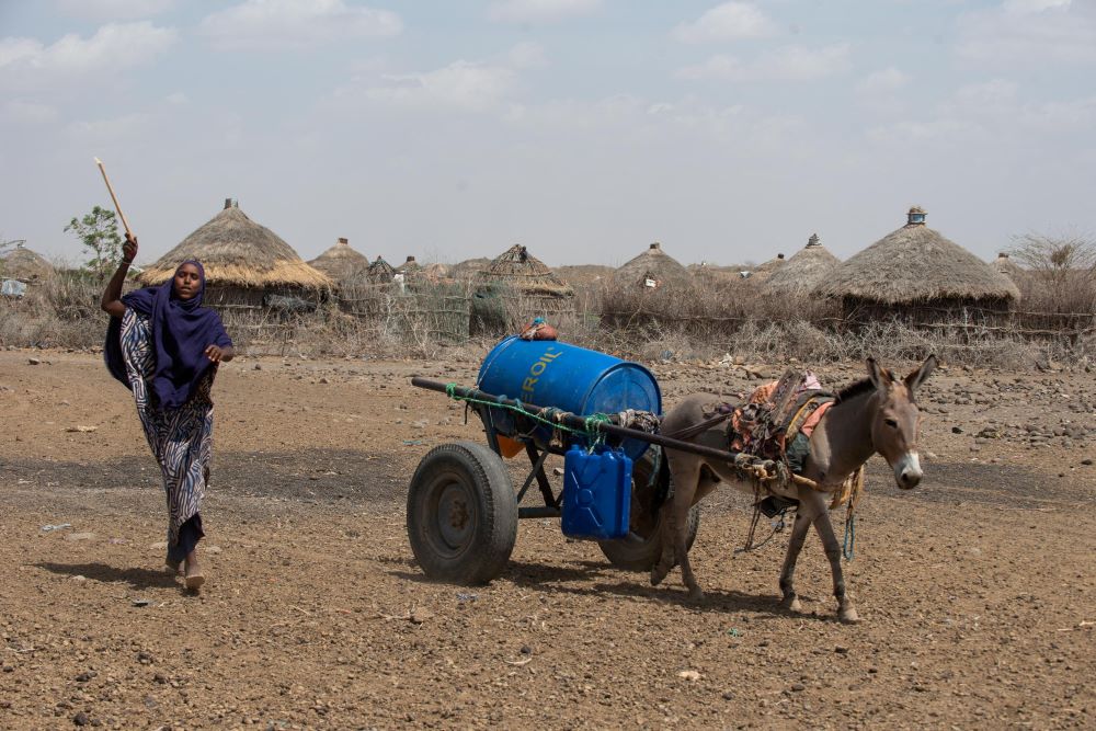 Woman walks near goat carrying a cart in Ethiopia.