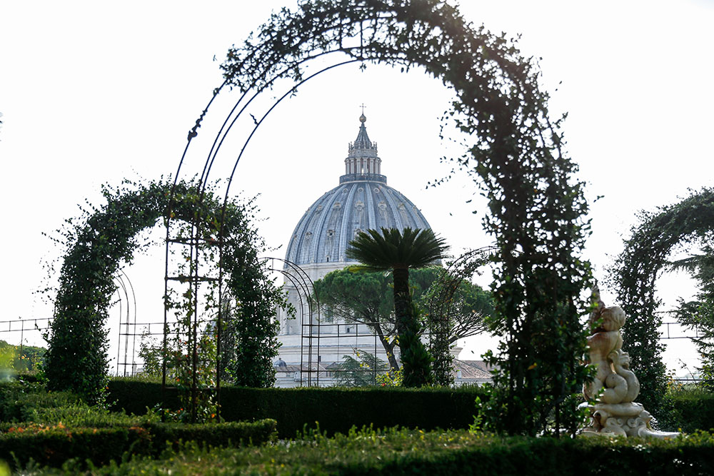 The dome of St. Peter's Basilica is seen from the Vatican Gardens Oct. 5, the day after Pope Francis released Laudate Deum, an apostolic exhortation on the climate crisis. (CNS photo/Lola Gomez)