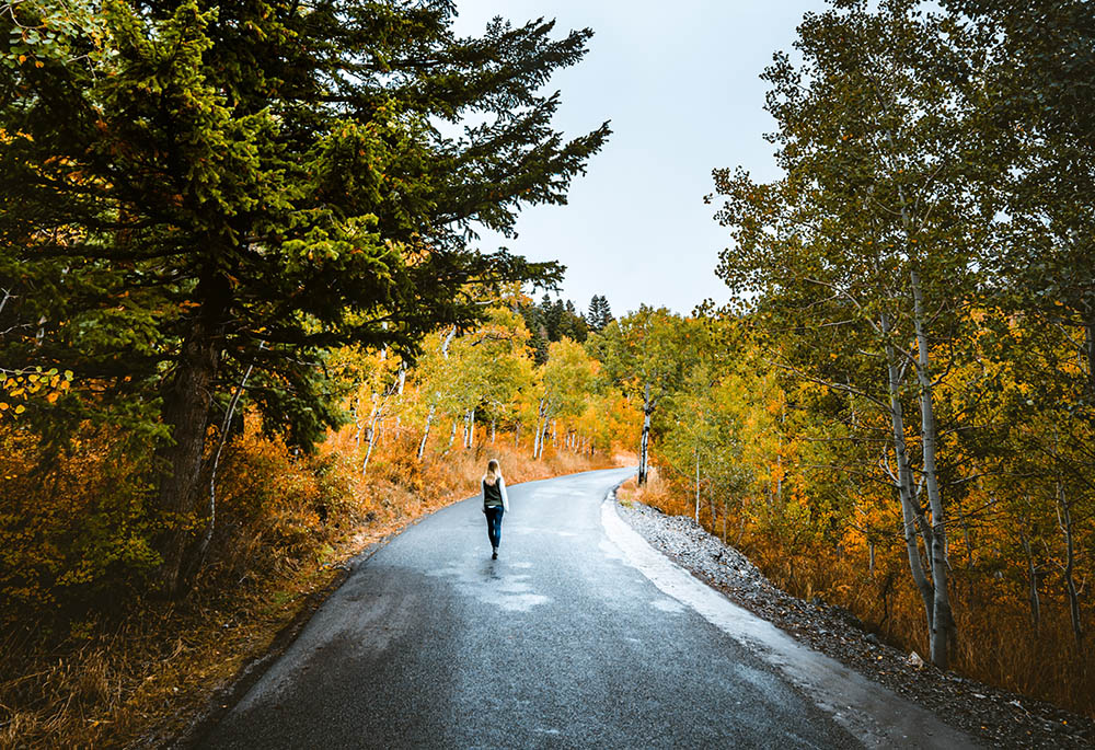 A person walks down a road lined with trees (Unsplash/Trail)