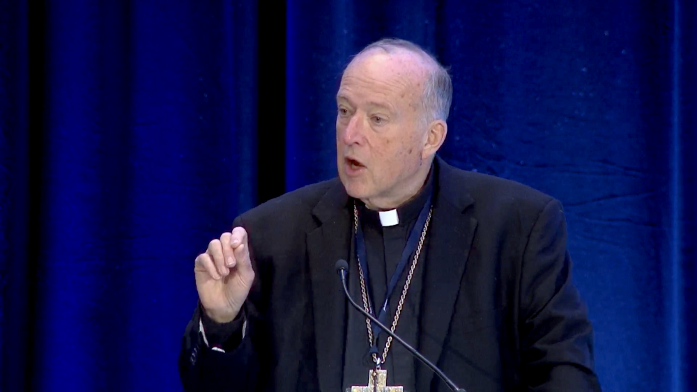 Cardinal McElroy speaks
