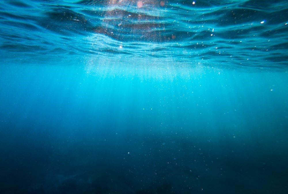 Underwater scene, with waves