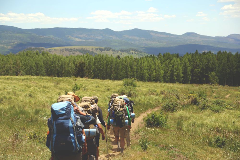 A group of people with backpacks walking on a path amid grass and trees ahead.