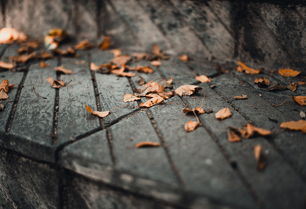 Fallen leaves lay on top of a wet bench in an outside scene. (Unsplash/GR Stocks)