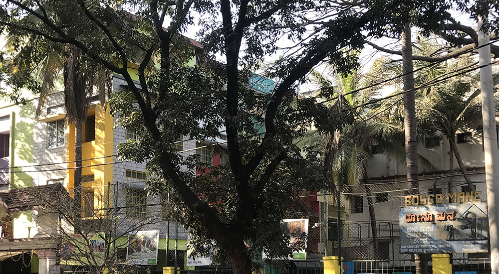 A view of BOSCO Mane ("home"), another center of Salesians in Bengaluru, southern India, where Gleaners of the Church member Susan Thottali has worked the past 20 years.  (Thomas Scaria)