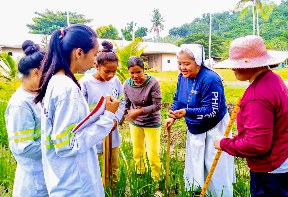 Salesian Sr. Ailyn Cayanan facilitates an agro-ecosystem analysis, part of a research-based study on the quality of inbred rice, seed certification and mechanization. (Courtesy of Ailyn Cayanan)