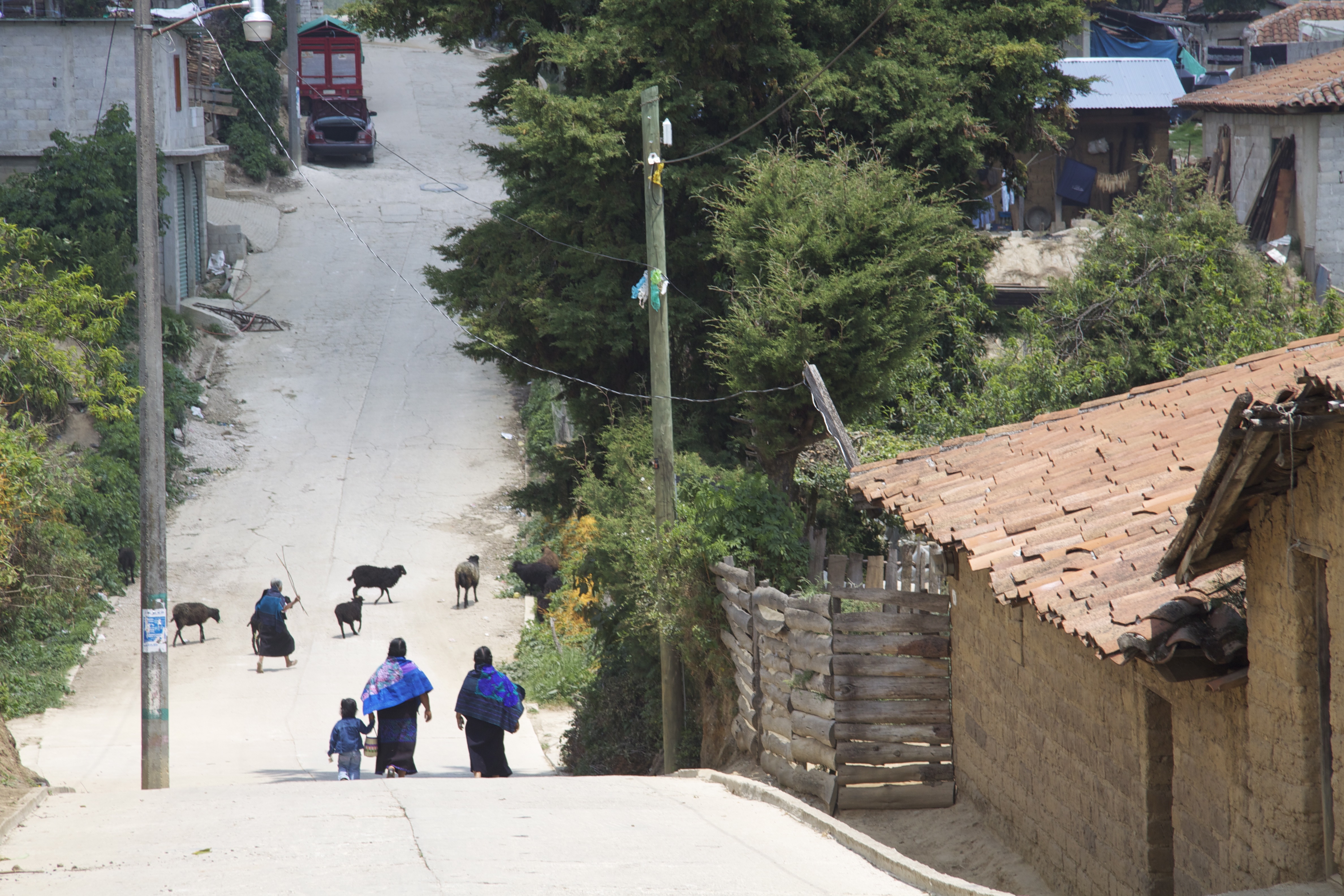La congregación de Hermanas del Divino Pastor dedica su ministerio a la educación, al área campesino-indígena, al trabajo parroquial y a las misiones en el extranjero. Imagen referencial: comunidad indígena de Zinacantán, Chiapas, México. (Foto: Wikimedia Commons CC BY-SA 3.0) La congregación de Hermanas del Divino Pastor dedica su ministerio a la educación, al área campesino-indígena, al trabajo parroquial y a las misiones en el extranjero. Imagen referencial: comunidad indígena de Zinacantán, Chiapas, México. (Foto: Wikimedia Commons CC BY-SA 3.0)