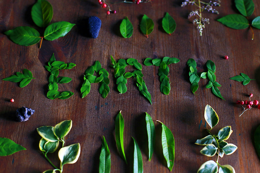 Leaves and flowers spell out the word "Earth" on a wooden table (Unsplash/Miriam Espacio)