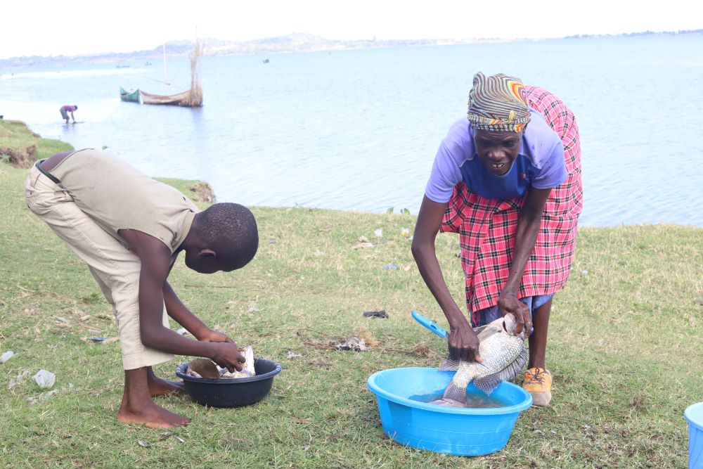 A child assists her mother in removing scales from fish they caught in Lake Victoria before selling them at the local market in Kisumu, southwestern Kenya, on Nov. 5, 2021. (GSR photo/Doreen Ajiambo) A child assists her mother in removing scales from fish they caught in Lake Victoria before selling them at the local market in Kisumu, southwestern Kenya, on Nov. 5, 2021. (GSR photo/Doreen Ajiambo)