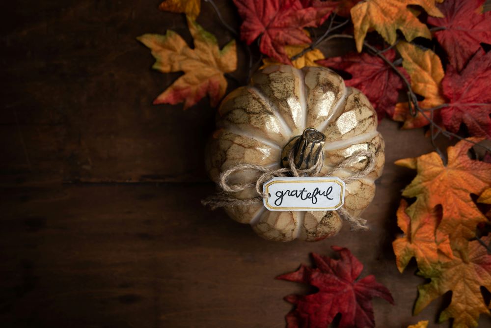 pumpkin with "grateful" sign. pumpkin with "grateful" sign.