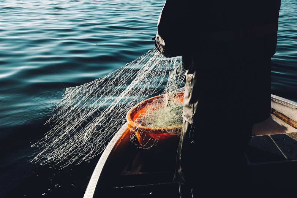 Fishing with a net Dark silhouette of a person on a small boat in deep blue waters pulling a white fishing net into an orange bucket.
