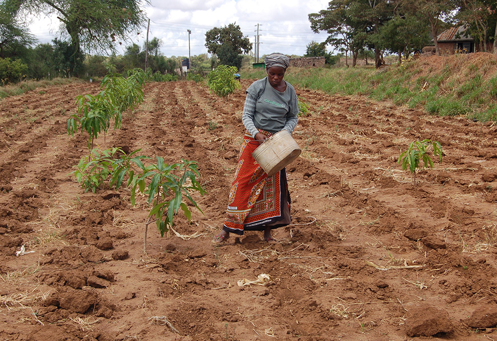 A woman plants seeds on a farm on the grounds of Our Lady of Mercy Catholic Church, March 26, 2017, in Machakos, Kenya. The farm is where they grow food for the parish and teach the local community about farming. It was through Pope Francis' teachings that Sr. Josephine Kwnega came to see farming not merely as a livelihood, but also as a sacred calling. (CNS/Fredrick Nzwili)