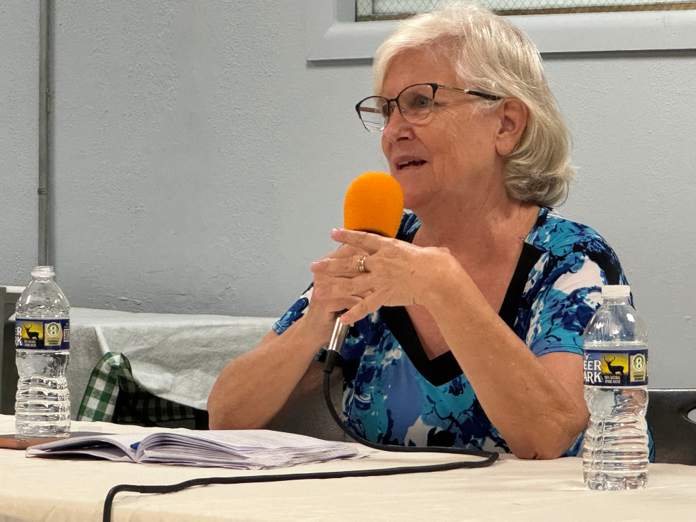 Leslie Schuld talks about wrongful detentions Leslie Schuld talks about wrongful detentions of members of the Center for Exchange and Solidarity, a nonprofit she cofounded in El Salvador, during a community event June 5, 2024 at St. Stephen and the Incarnation Episcopal Church in Washington. Schuld worries that a new foreign agent law in El Salvador will target nonprofits like hers because they have defended people wrongly imprisoned by the government. (GSR/Rhina Guidos)