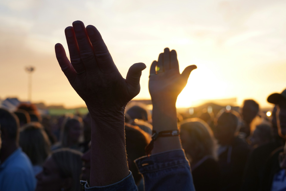 hands in the air in a crowd
