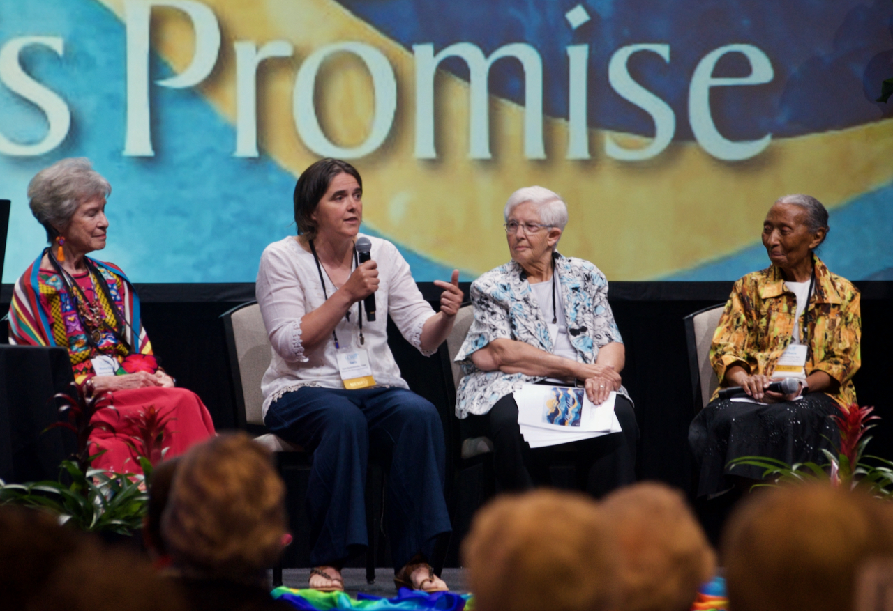 LCWR panel