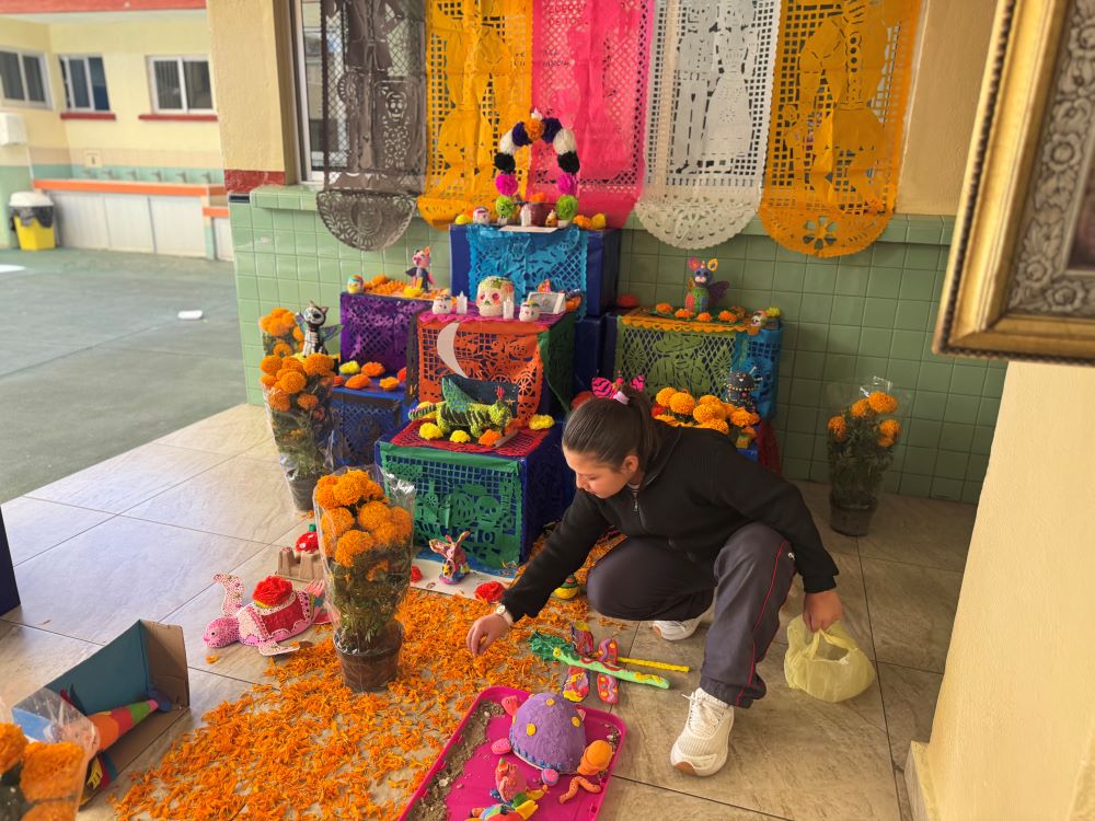 Constanza Flores Valdez, a fifth-grade student at Colegio Tepeyac Mexicano, helps decorate a Day of the Dead altar at her school Oct. 28. (GSR photo/Rhina Guidos)
