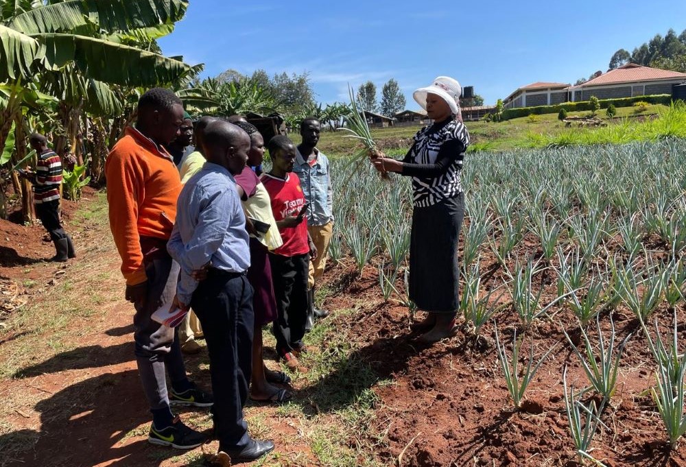 Sr. Flora Nyawira trains a group on leek onion farming. Sr. Flora Nyawira trains a group on leek onion farming.