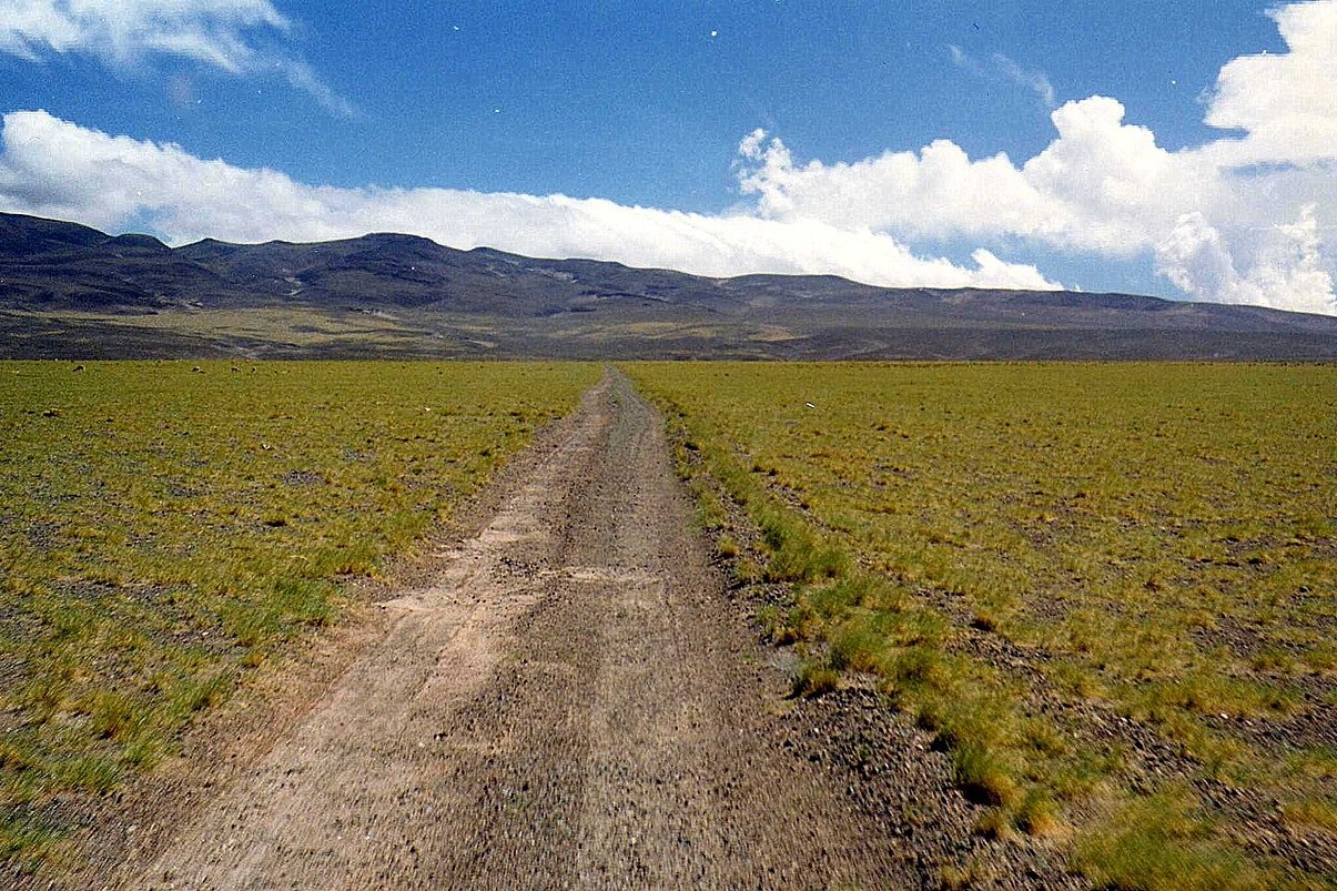Huella rumbo a Antofagasta de la Sierra, Catamarca, Argentina. (Foto: Rodoluca/Wikimedia Commons)  Huella rumbo a Antofagasta de la Sierra, Catamarca, Argentina. (Foto: Rodoluca/Wikimedia Commons)