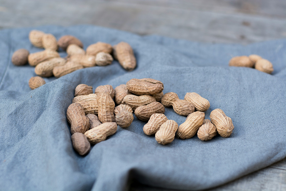A small batch of peanuts in their shells lying on a light blue cloth (Unsplash/Camila Levita)