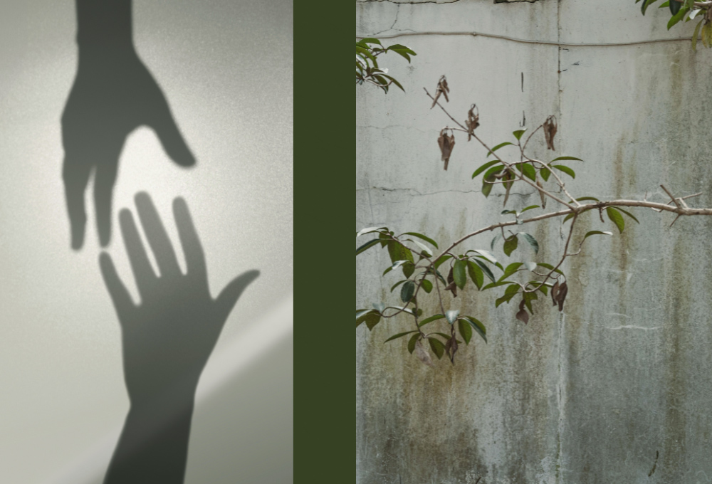 Illustrative photo collage shows a hand reaching down to help another hand, and thin branches against a cracked wall. (GSR graphic/Olivia Bardo)