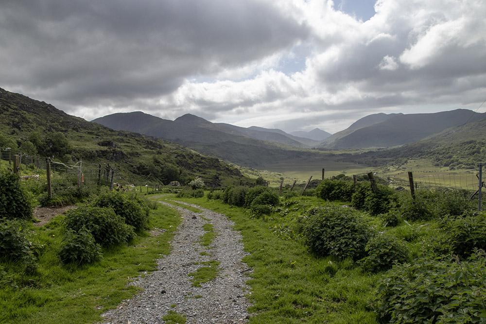 A gravel road travels into Killarney National Park in Ireland. One of the sister panelists for The Life has resolved to relearn the Irish language in 2026, after many years living as a missionary outside of her native land. (Teresa Malcolm)