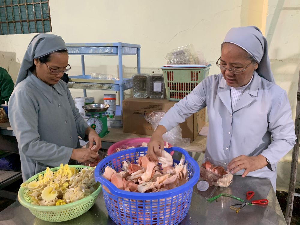 St. Paul de Chartres Srs. Marie Nguyen Thi Minh Hoa (left) and Agathe Tran Thi Mong Huyen pack mushrooms in boxes to deliver to customers. They grow five varieties of organic mushrooms, including abalone and reishi. (Courtesy of Marie Nguyen Thi Minh Hoa)