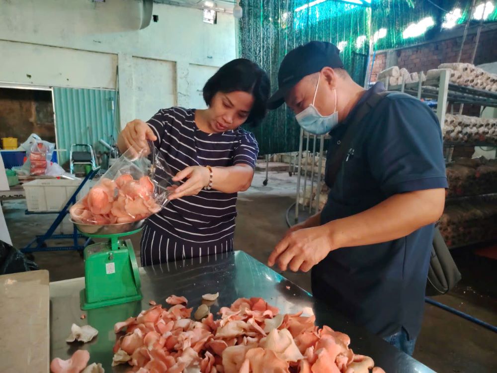 Maria Kieu Thi Thu Ha (left) and another customer buy mushrooms from the St. Paul de Chartres nuns in Ho Chi Minh City, Vietnam. Sales support scholarships for students preschool through university in five dioceses. (Courtesy of Marie Nguyen Thi Minh Hoa)