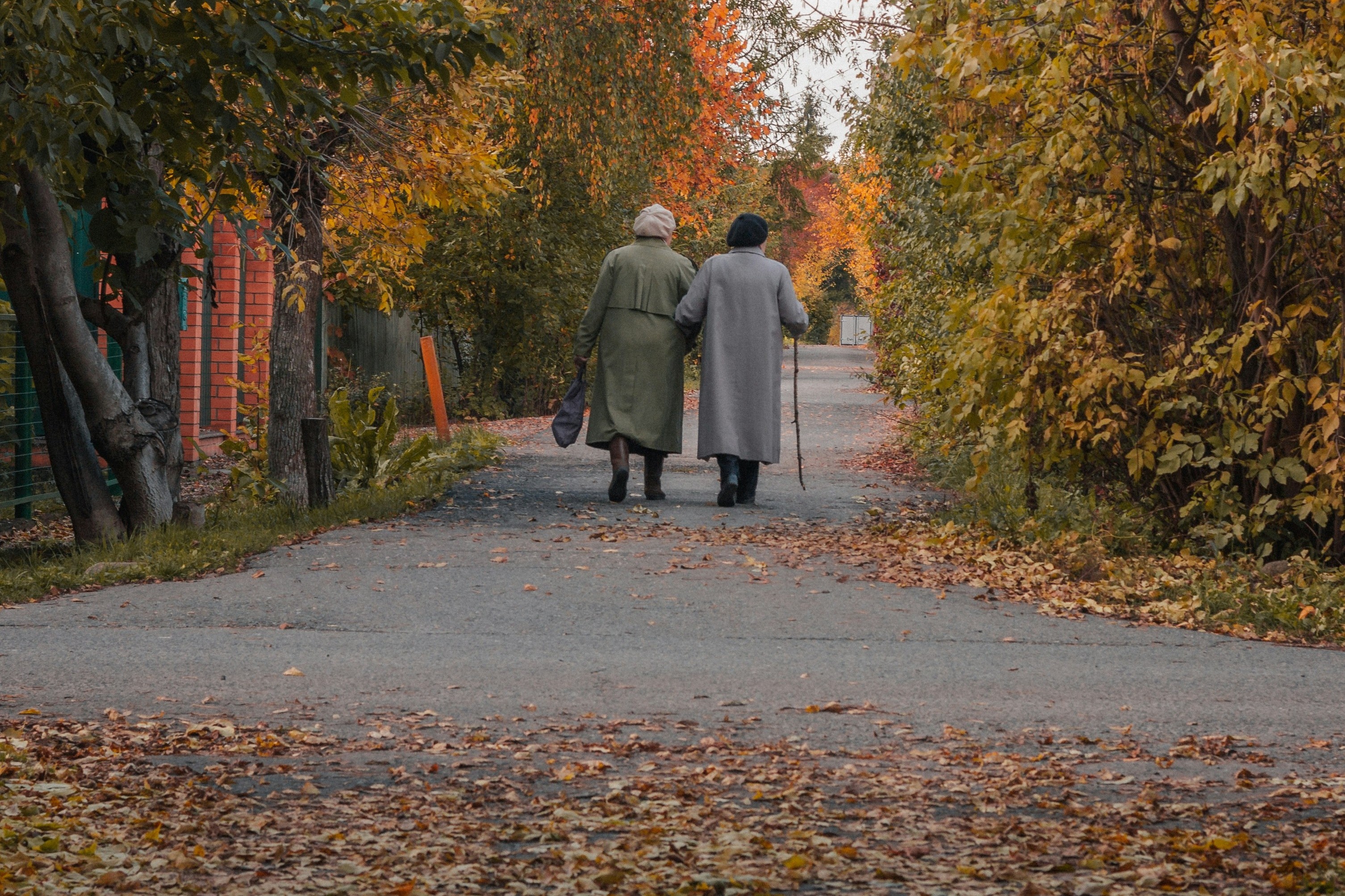 (Foto: Unsplash/Artem Polezhaev)